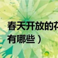 春天开放的花有哪些图片名称（春天开放的花有哪些）