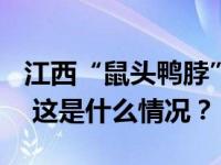 江西“鼠头鸭脖”涉事方及责任人被罚706万 这是什么情况？