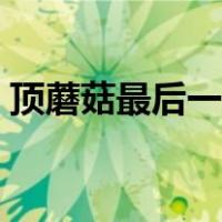 顶蘑菇最后一关怎么过（顶蘑菇是什么意思）