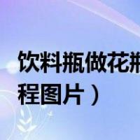 饮料瓶做花瓶教程图片简单（饮料瓶做花瓶教程图片）
