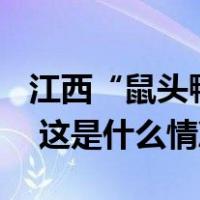 江西“鼠头鸭脖”涉事方及责任人被罚706万 这是什么情况？