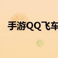 手游QQ飞车点券宠物（手游qq飞车点券）