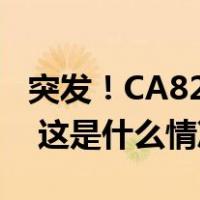突发！CA8293航班从武汉飞往成都途中返航 这是什么情况？