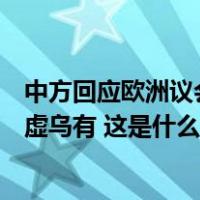 中方回应欧洲议会通过涉藏决议：所谓“强制同化”纯属子虚乌有 这是什么情况？