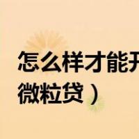 怎么样才能开通微粒贷功能（怎么样才能开通微粒贷）