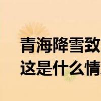青海降雪致480多辆车被困，交警紧急救援 这是什么情况？