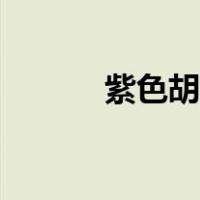 紫色胡萝卜吃法（胡萝卜吃法）