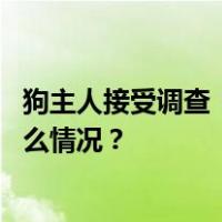 狗主人接受调查！湖南警方通报“女子遭黑狗撕咬” 这是什么情况？