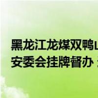 黑龙江龙煤双鸭山矿业双阳煤矿事故造成11人遇难，国务院安委会挂牌督办 这是什么情况？