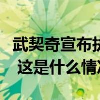 武契奇宣布执政党党派联盟在议会选举中获胜 这是什么情况？