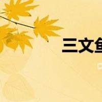 三文鱼头煲粥（三文鱼头煲）