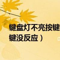 键盘灯不亮按键没反应怎么回事?怎么解决（键盘灯不亮按键没反应）