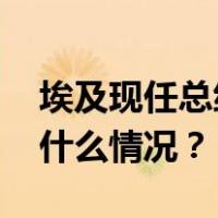 埃及现任总统塞西赢得新一届总统大选 这是什么情况？
