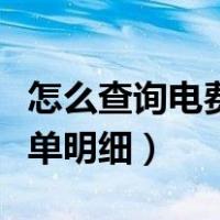 怎么查询电费账单明细记录（怎么查询电费账单明细）