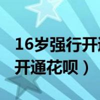 16岁强行开通花呗教程2019（17岁怎么强制开通花呗）