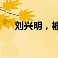 刘兴明，被开除党籍！ 这是什么情况？