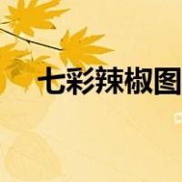 七彩辣椒图片大全大图（七彩辣椒图片）