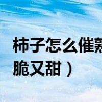 柿子怎么催熟又脆又甜视频（柿子怎么催熟又脆又甜）