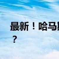 最新！哈马斯领导人再赴埃及 这是什么情况？