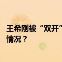 王希刚被“双开”：把入党视为当官的“敲门砖” 这是什么情况？