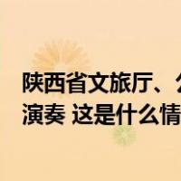 陕西省文旅厅、公安厅出台文件：营业性演出严禁假唱、假演奏 这是什么情况？