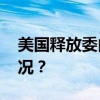 美国释放委内瑞拉政府特使萨博 这是什么情况？