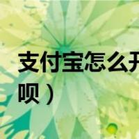 支付宝怎么开通借呗额度（支付宝怎么开通借呗）