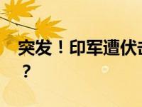 突发！印军遭伏击，多人死伤 这是什么情况？