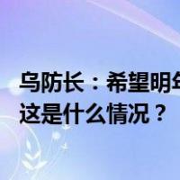 乌防长：希望明年征召在国外居住的乌克兰男性公民服兵役 这是什么情况？