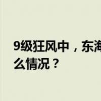 9级狂风中，东海惊现小船，洋山海事紧急救援…… 这是什么情况？
