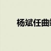 杨斌任曲靖市委书记 这是什么情况？