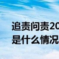 追责问责204名地方党政机关“一把手” 这是什么情况？