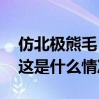 仿北极熊毛！我国科学家制备出超保暖材料 这是什么情况？