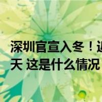 深圳官宣入冬！近10年有一半年份未能入冬，最长冬天数10天 这是什么情况？