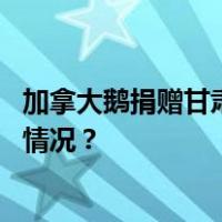 加拿大鹅捐赠甘肃震区物资被倒卖？平台：已封号 这是什么情况？