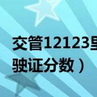 交管12123里面怎么查询驾驶证分数（查询驾驶证分数）