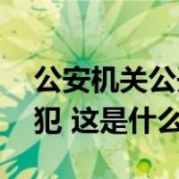 公安机关公开通缉10名缅北地区重大涉毒逃犯 这是什么情况？