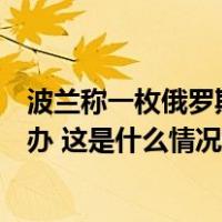 波兰称一枚俄罗斯导弹进入波领空，召见俄罗斯驻波临时代办 这是什么情况？