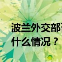 波兰外交部召见俄罗斯驻波兰临时代办 这是什么情况？