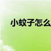小蚊子怎么消灭最快（小蚊子怎么消灭）