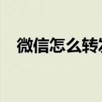 微信怎么转发语音?（微信怎么群发语音）