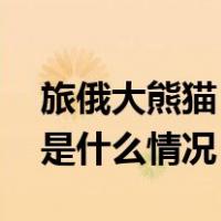旅俄大熊猫“丁丁”幼崽获名“喀秋莎” 这是什么情况？