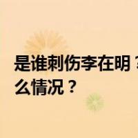 是谁刺伤李在明？韩警方公布嫌疑人身份、作案动机 这是什么情况？