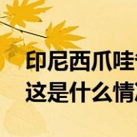 印尼西爪哇省两列通勤列车相撞，多人受伤 这是什么情况？