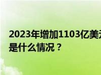 2023年增加1103亿美元，我国外汇储备达32380亿美元 这是什么情况？