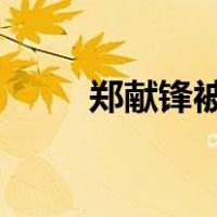 郑献锋被“双开” 这是什么情况？