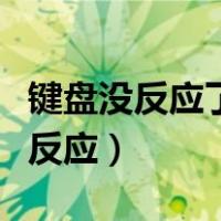 键盘没反应了怎么办但指示灯还亮着（键盘没反应）