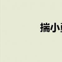 揣小勇被查 这是什么情况？