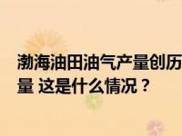 渤海油田油气产量创历史新高，海洋石油成能源上产关键增量 这是什么情况？