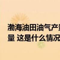 渤海油田油气产量创历史新高，海洋石油成能源上产关键增量 这是什么情况？